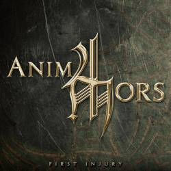 Anima Mors : First Injury